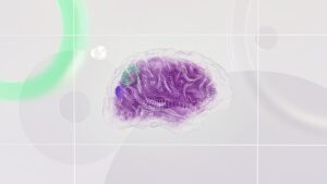 Abstract 3D brain illustration in purple mesh